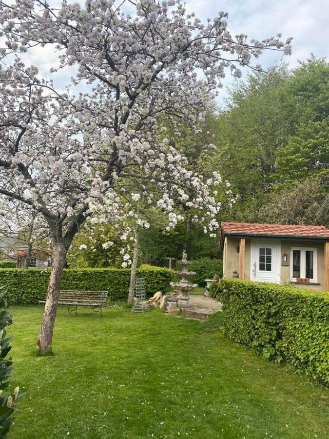 Chez Monsieur Bed and Breakfast Florenville Exterior foto